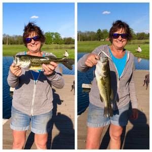 Meet your Posher, Debby